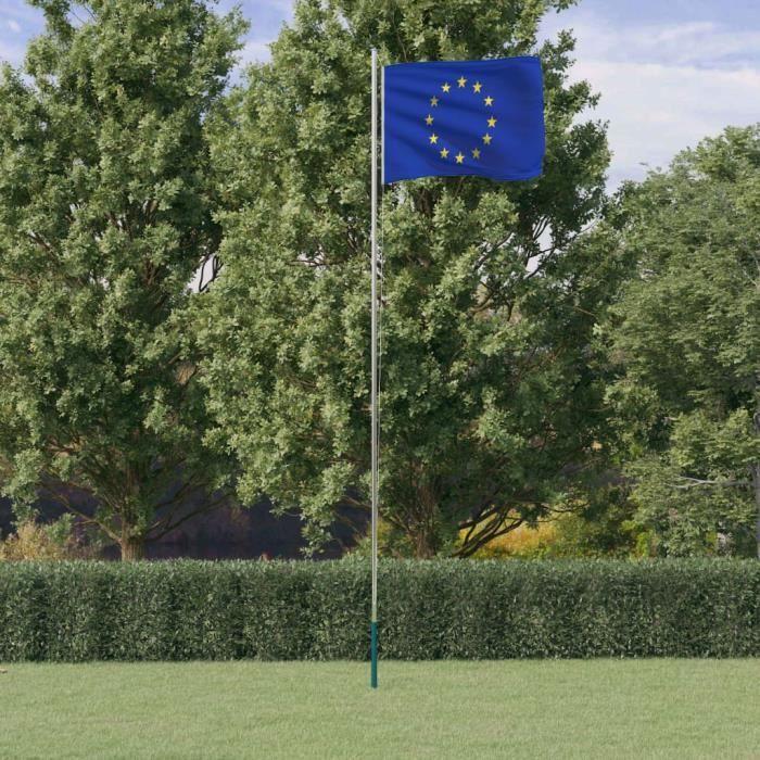 VidaXL Drapeau de l'Europe et mât 6,23 m Aluminium 3147114