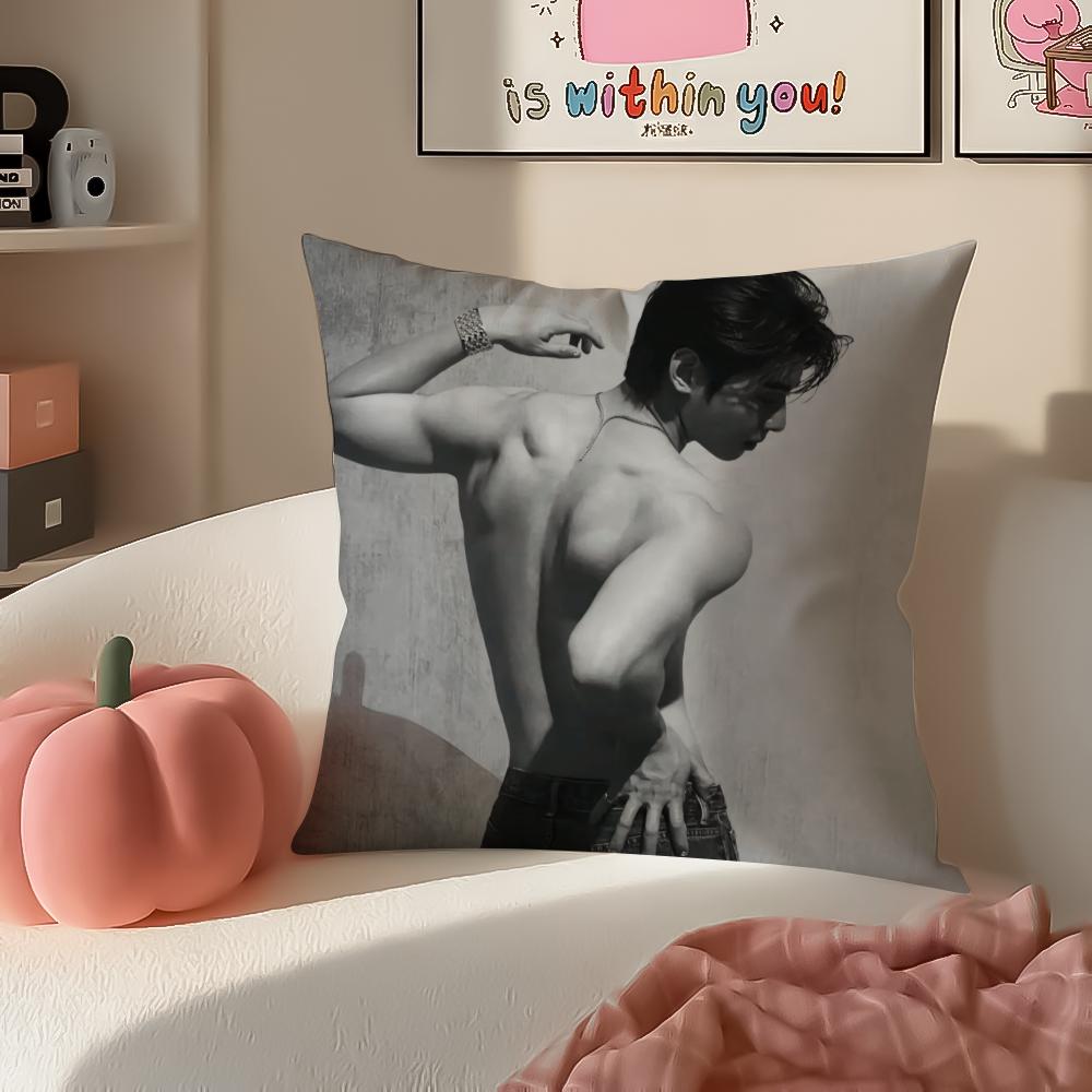 Handsome Kpop Idol CCha EEun Woo Cushion Cover Pillowcase Short Plush Invisible Zipper Room Sofa Cushion Cover