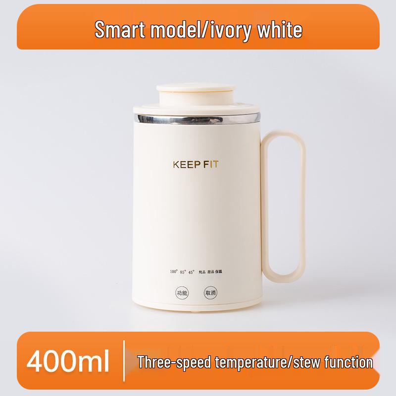 Portable Electric Tea Kettle with Timer and Infuser - All-in-One Stewing and Boiling Cup
