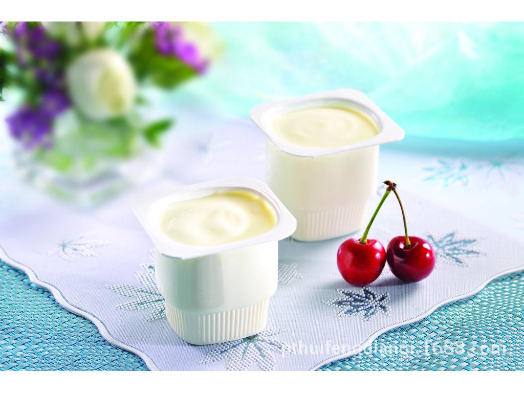 Vollautomatischer Joghurtbereiter 220 V/110 V für Europa, Amerika und Japan