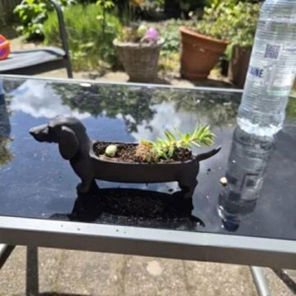 3D Printed Jewelry Catchall Dish Plastic Sausage Dog Planter Tabletop Organizer Figurine Office