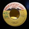 7inch Record SCANDAL  A True Tail NONE Junjo  Volcano 1992 Jamaica Reggae Ska  Dub Used