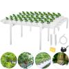 54 Holes Hydroponic Piping Site Grow Kit Deep Water Culture Planting Box Gardening System Nursery Pot Hydroponic Rack 220V