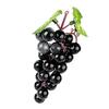 Simulation Grape Plastic Fruit Fake Fruits Photo Props Artificial Grape Fruit Shop Display Model Ornaments Home Decor