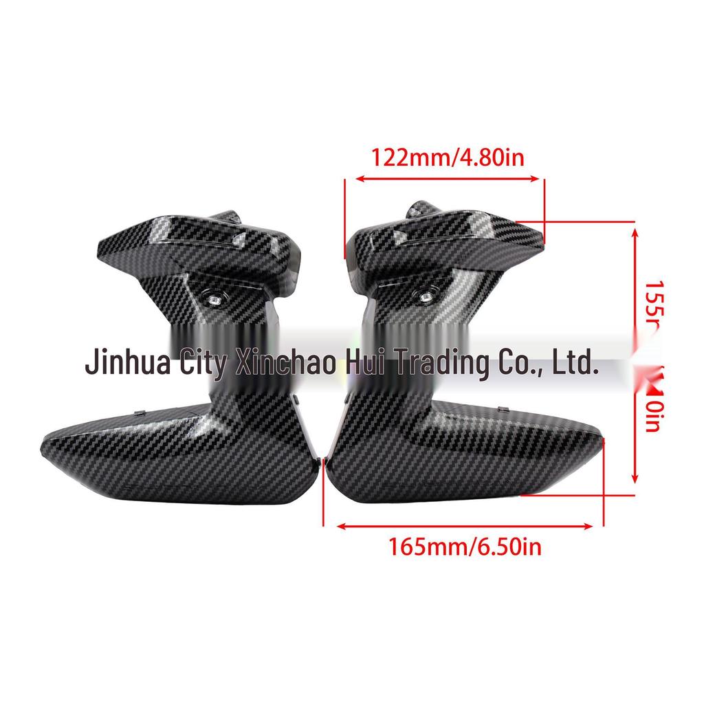 BMW R1250RS 19-23 Carbon Fiber Cylinder Head Side Panel Accessories