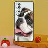 French Bulldog Design Case For Honor 200 Pro X9c X9a X8a X7a X6a X7 X8 X9 X8b X9b Magic 5 6 50 70 90 Lite Cover