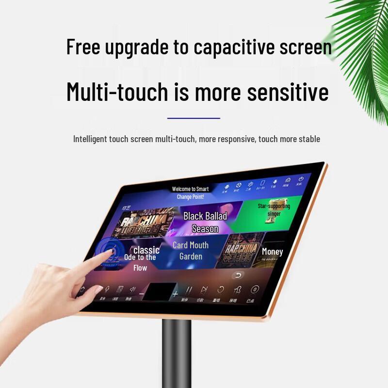 Lingsheng Home Karaoke System with Integrated Amplifier CN Plug (adapter Included)