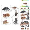 Realistic Forest Animal Models Set Including Hamster Snail Sugar Glider Mouse Meerkat Anteater For Kids Educational Playtime Fun