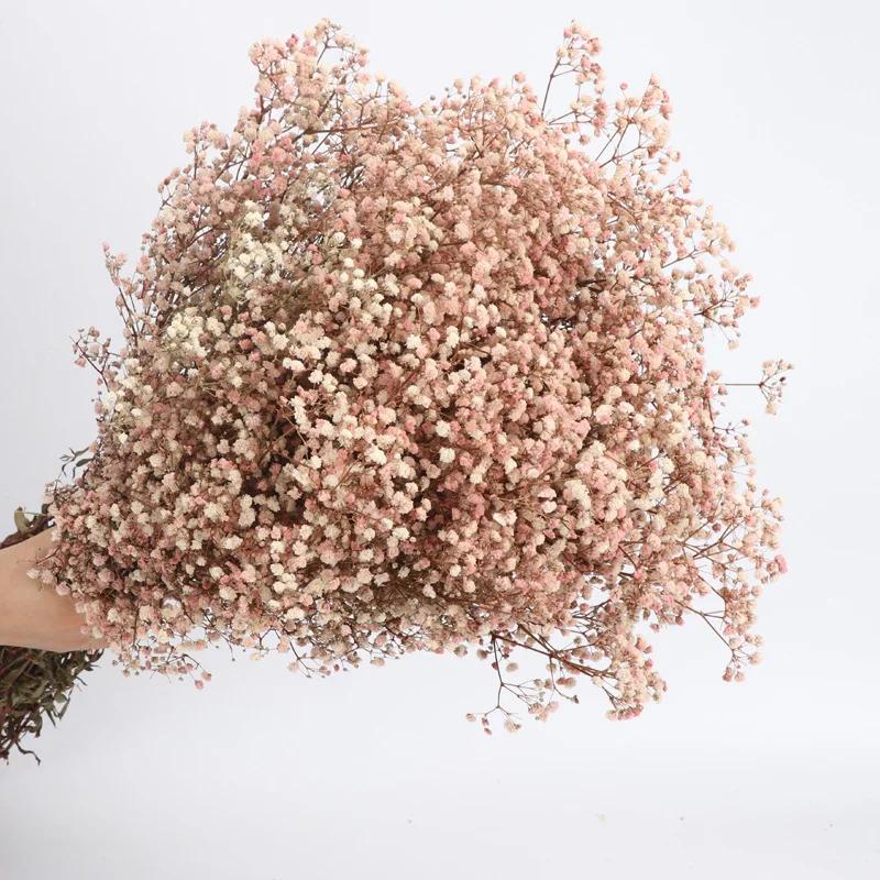 Dried Flowers Babys Breath Bouquet Ivory White Flowers Natural Gypsophila Branches for Home Decor Wedding Flowers Bulk for Vase