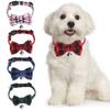 Collier Kittens Grid Collar with Bell Pet Supplies Kitten Collar Cats Collar Puppy Collar