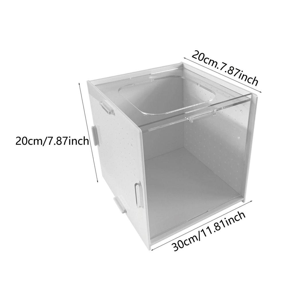 Aquarium Breeder Box Incubator Acrylic Easy Installation Nursery Transparent Hanging Hatching Box for Betta Guppy Clownfish