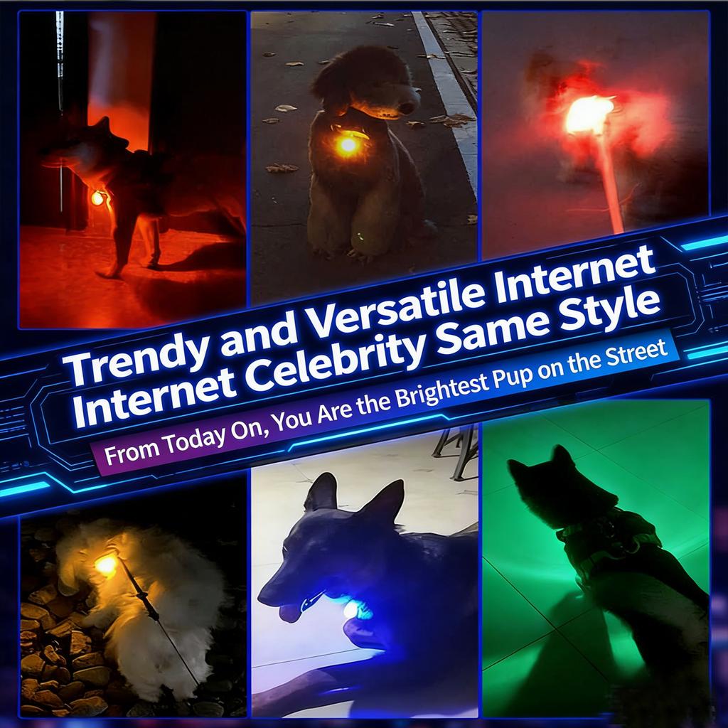 1 Pc Waterproof LED Pet Light Pendant USB Rechargeable Dog Cat Safety Night Walking Light 3 Modes 8H Battery Life
