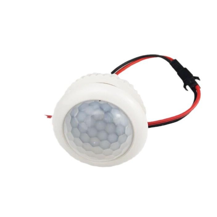 Infrared LED Sensor Switch for Ceiling Lights (110V-220V)