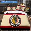 3PCS Blackhawks Printed Bedding Set For Bedroom dormitory,  Includes 1 Duvet Cover & 2 Pillowcases for All Seasons Home Decor Fan gifts