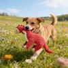 Plush Dinosaur Dog Toy Squeaky Interactive Dog Chew Toy Textured Stuffed Animal for Puppy Teething Medium Large Dogs