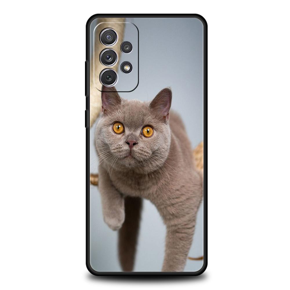 

Чохол для британської короткошерстої кішки для Samsung A24 A12 A14 A32 A50 A70 A20E A20S A10 A10S A22 A30 A40 A34 A54 A42 A52 5G A04s A72 For Samsung A54