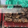 Natural Champagne Cork Bark Decoration Panel for Reptile Hiding & Aquascaping