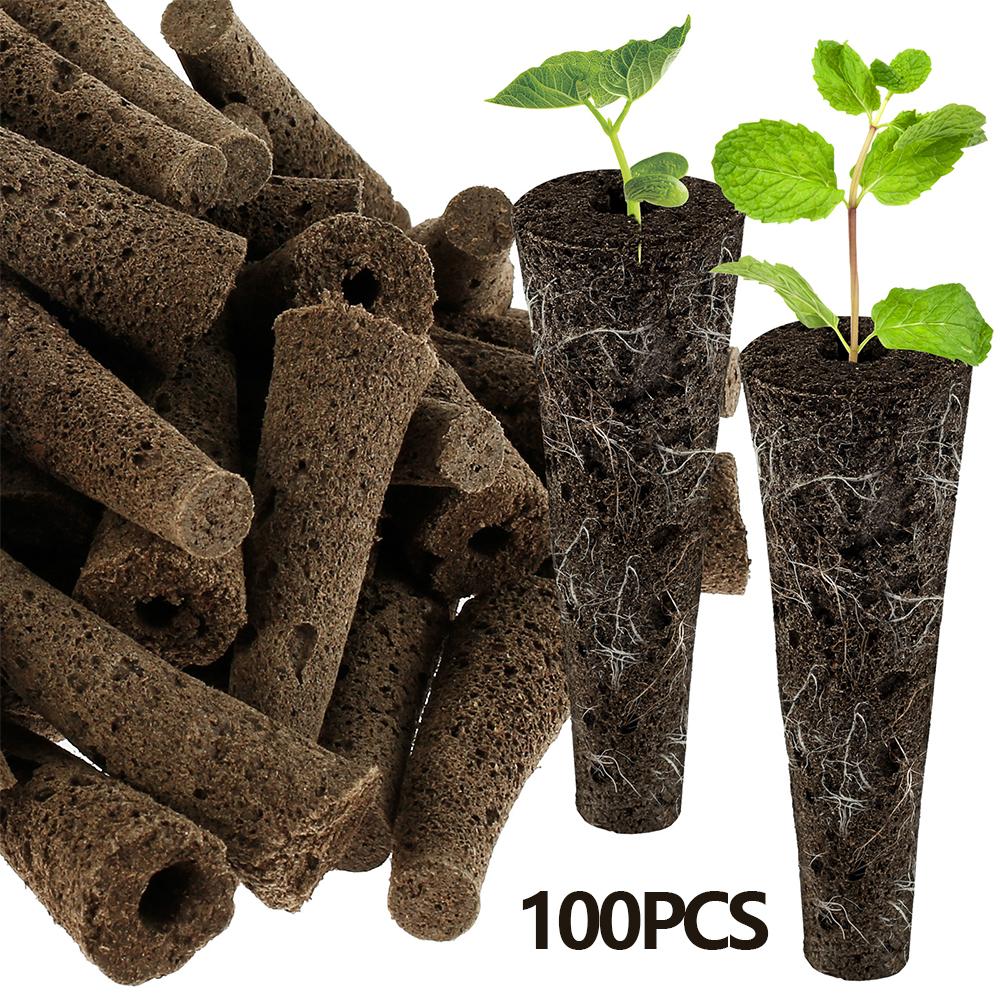 50 Stück Samen-Wachssponsoren Ersatz-Wurzelwachssponsoren Professionelles Samen-Starter-Kit Garten-Zubehör für Hydroponik-System