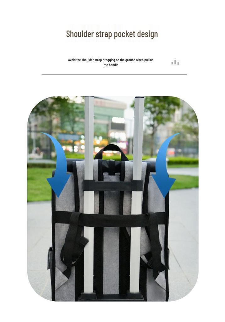 Portable Breathable Foldable Pet Trolley Bag for Cats and Dogs