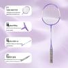 Longchan Badminton Racket Set for Beginners