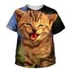 Summer Round Neck 3D Printed Cute Cat Pattern Top Fashionable Casual Short Sleeved Children's Boy and Girl Kids Unisex T-shirts