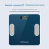 T201 Smart Body Fat Scale (CN Version)