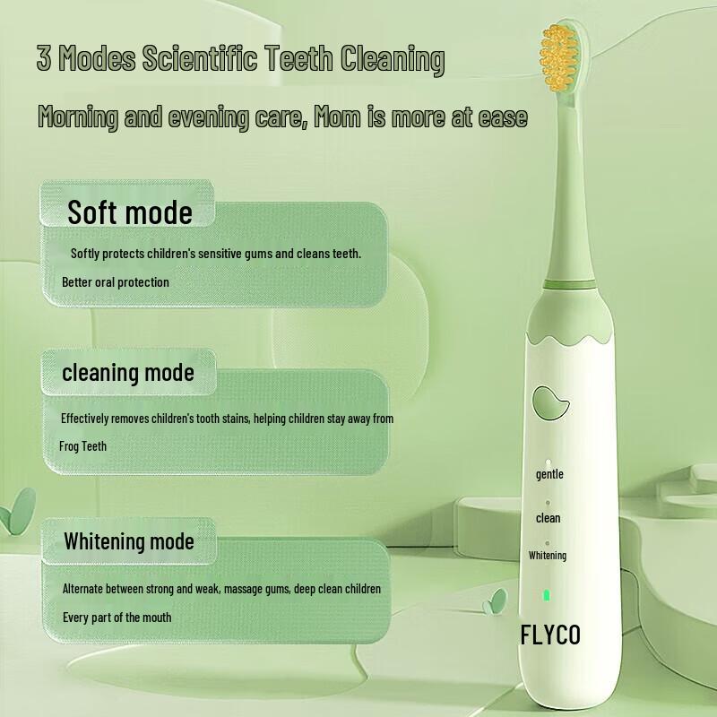 FLYCO Children's Sonic Electric Toothbrush CN plug (adapter included)