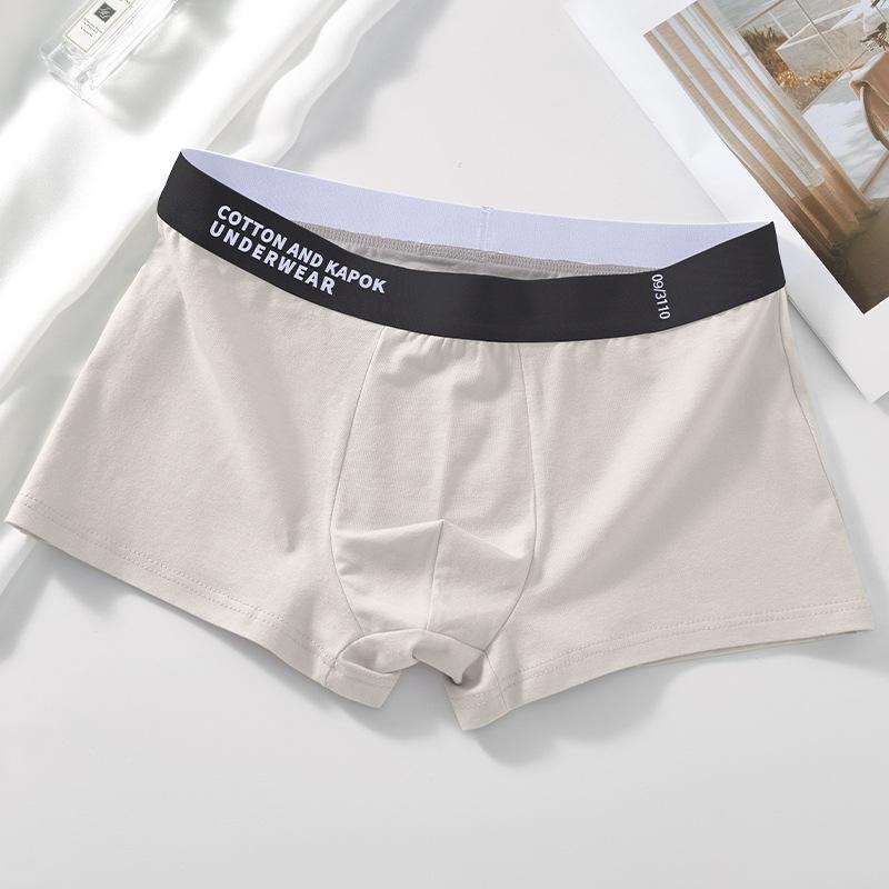 Men's Spring and Summer Thin and Trendy Pure Cotton Antibacterial Briefs