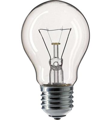 A55 E27 24V 60W Low Voltage Bulb