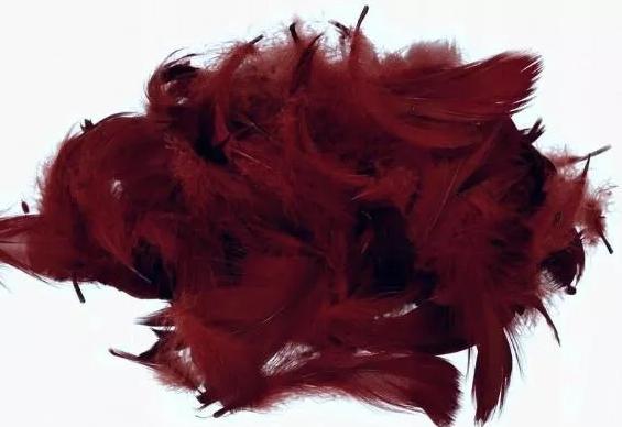 Decorative Feathers 1 Pack Brown (Cocoa)