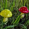 6pcs/set 5Colors Outdoor Statues Yard Fairy String Lights LED Light Christmas Lights Solar Mushroom Light