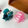 Womens Hair Chic Claw Clip With Beautiful Rose Accents In Elegant Spring Colors For 2025