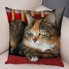 Funny Cute Cat Pillowcase Decor Lovely Pet Animal Print Pillow Case Super Soft Plush Cushion Cover for Car Sofa Home 45x45cm