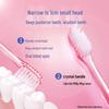 Lion Fine Tooth Clean Crystal Color Soft Bristle Toothbrush 4-Pack