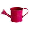 Colorful Iron Floral Container Metal Watering Can for Outdoor Plants, Small Kettle with Handle Decorative Plant Jug Succulents Garden Flowers,