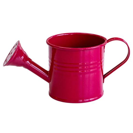 Colorful Iron Floral Container Metal Watering Can for Outdoor Plants, Small Kettle with Handle Decorative Plant Jug Succulents Garden Flowers,