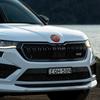 80mm 90mm ABS Car Front Rear Emblem Sticker Logo Styling for Skoda Octavia 2 3 Fabia Kamiq Kapoq Kodiaq Rapid Superb Yeti etc