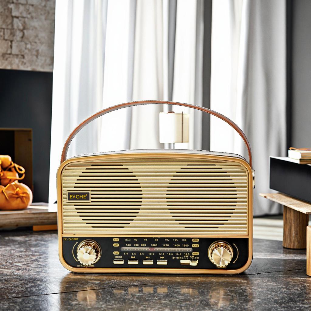 2450BT High-End Handheld Full Band Bluetooth Radio with Card Slot