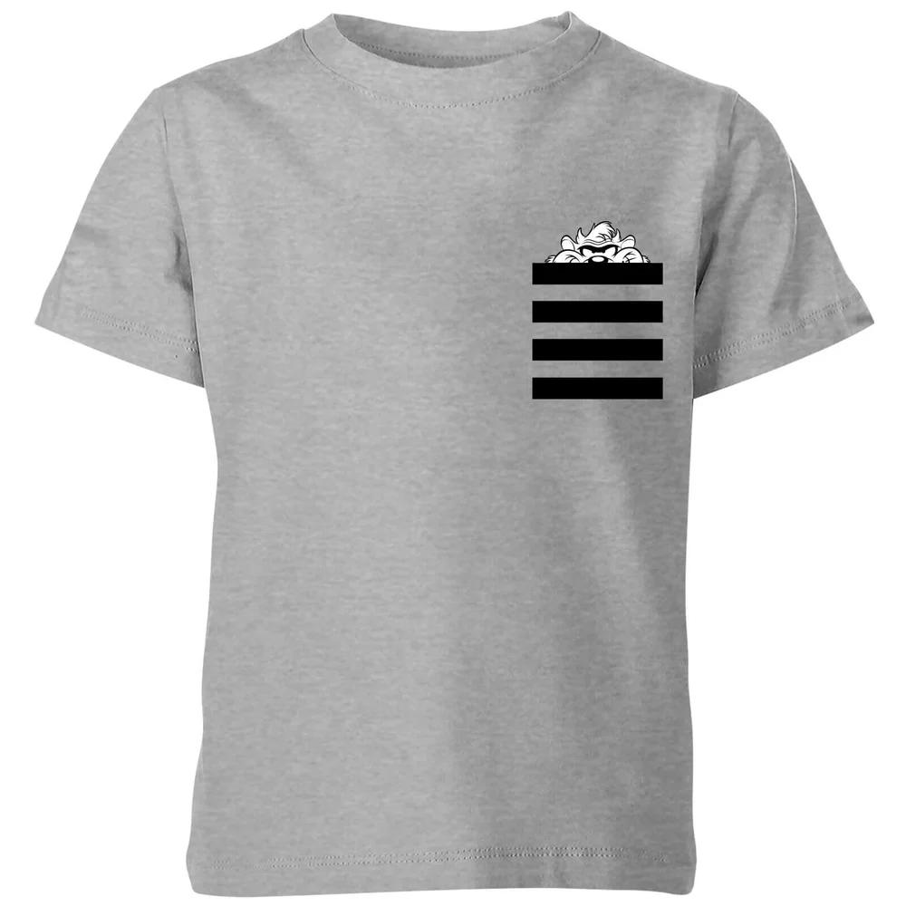 

Looney Tunes Taz Stripes Pocket Print Kids T-Shirt - Grey - 3-4 Years 150