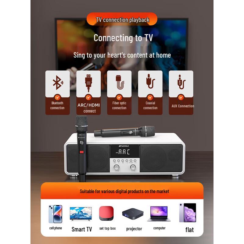 SANSUI T73 Home KTV Karaoke Audio System CN Plug (adapter Included)