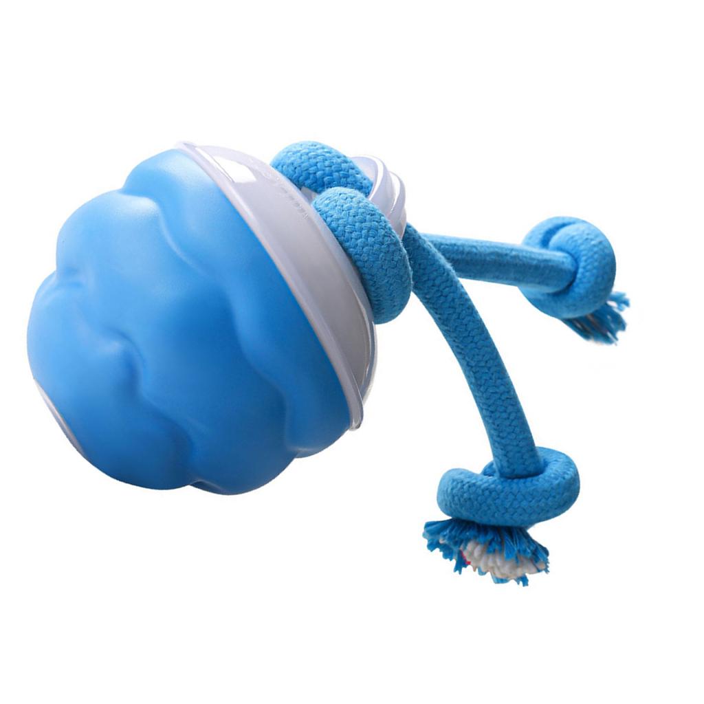 Motion Activated Dog Grinding Rope Toy Balls USB Rechargeable Interaction Electric Ball for Puppies and Boredom Dog