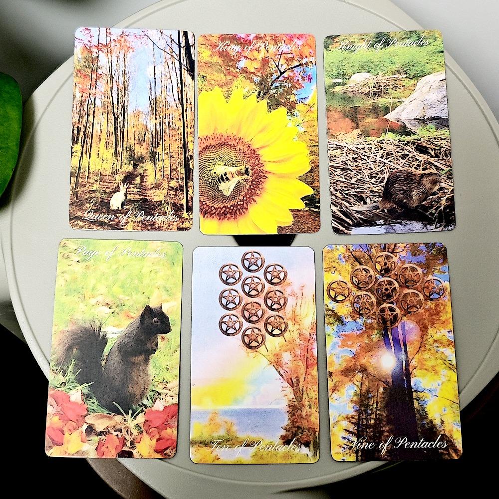 Medytacja w ruchu Tarot 10,3*6cm Łączy się z naturalnymi elementami każdego sezonu 78 sztuk kart tarota opartych na RWS