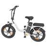 20-inch Folding Electric Bike 250W Motor 48V 16Ah Battery 25km/h 100km Range 20x3.0-inch Fat-Tire Electric Bicycle