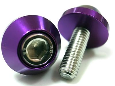 COTRAX License Plate Bolts, Lightweight, Aluminum, License Plate Bolts, Washers + Stainless Steel M6