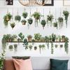 Watercolor Potted Plant Wall Stickers Living Room Bedroom Decoration Wall Decals Bedroom Home Decor Art Background