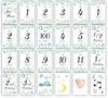 Baby Monthly Set a Message On the Monthly Monthly Monthly Note Made In Japan Cards, 22-Piece (Write Back), Photo, Photo, Cards, Life, (Botanical)