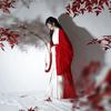 Chinese Wei And Jin Dynasties Style Hanfu Red Fairy Suit Elegant Suit Women's Clothes