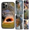 KARPFENFISCHEREI FISCH Handyhülle Cover Für iPhone 17 Air 16 15 14 Plus Apple 11 12 13 Pro Max Hülle
