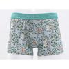 Paul Joe Graue Boxershorts & Herren