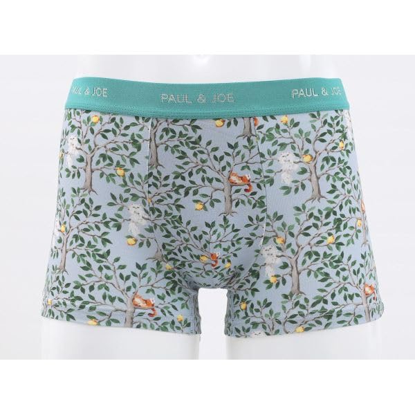 Paul Joe Graue Boxershorts & Herren